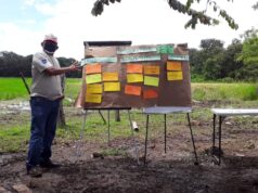 MIDA inicia escuelas de campo con productores arroz